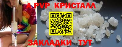 гашик Кингисепп