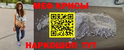 гашик Кингисепп