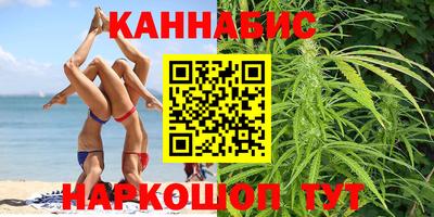 гашик Кингисепп