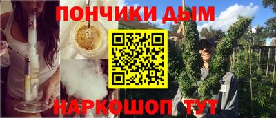 гашик Кингисепп