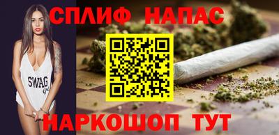 гашик Кингисепп