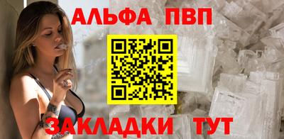 гашик Кингисепп