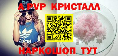 гашик Кингисепп
