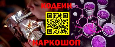 гашик Кингисепп
