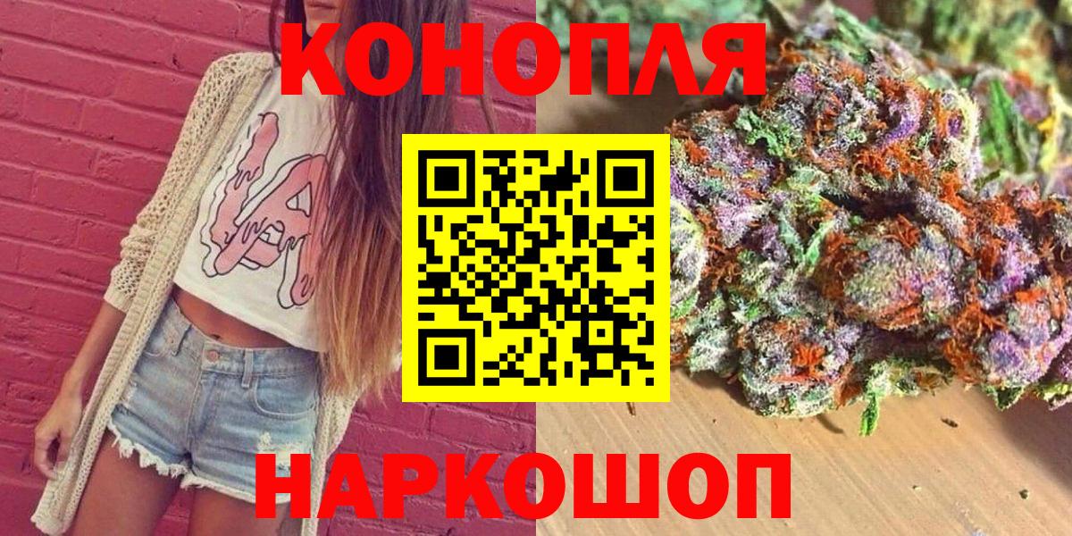 Марихуана сатива Шахты